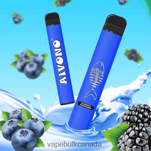 Blueberry Raspberry