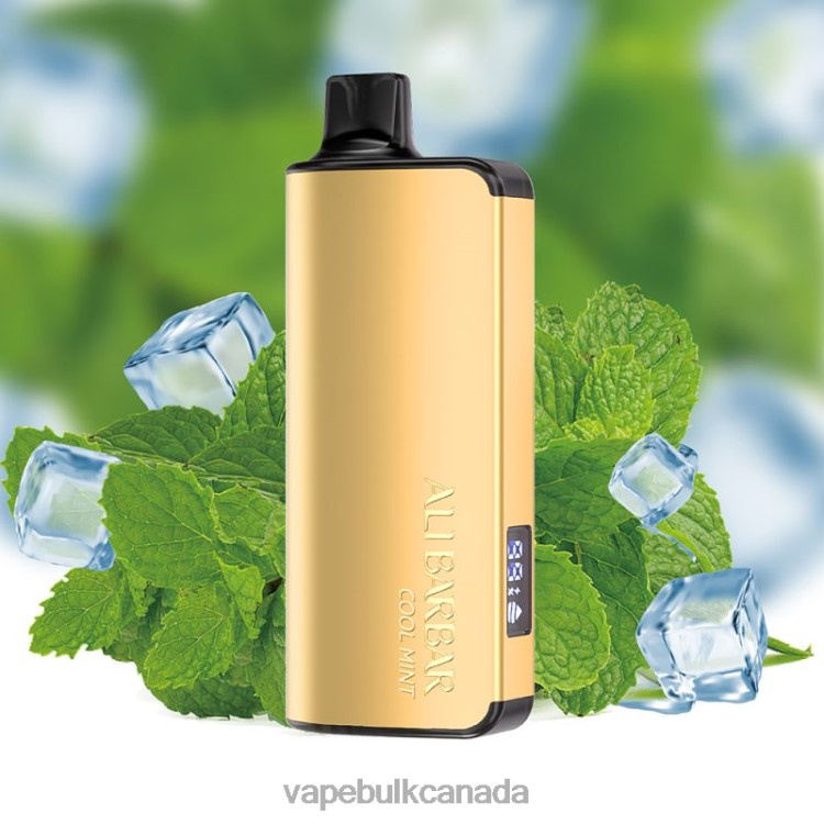 Disposable Vape Wholesale Canada - Alibarbar Ingot 20000 Disposable Vape Cool Mint P60ZF35
