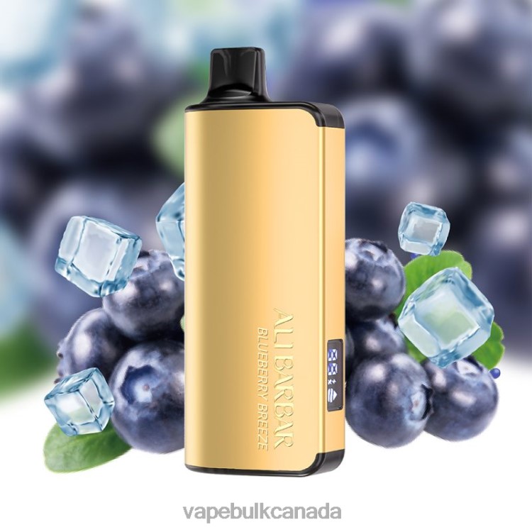 Vape Wholesale Canada - Alibarbar Ingot 20000 Disposable Vape Blueberry Breeze P60ZF32