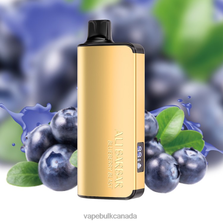 Disposable Vape Wholesale Canada - Alibarbar Ingot 9000 Disposable Vape Blueberry Blast P60ZF15
