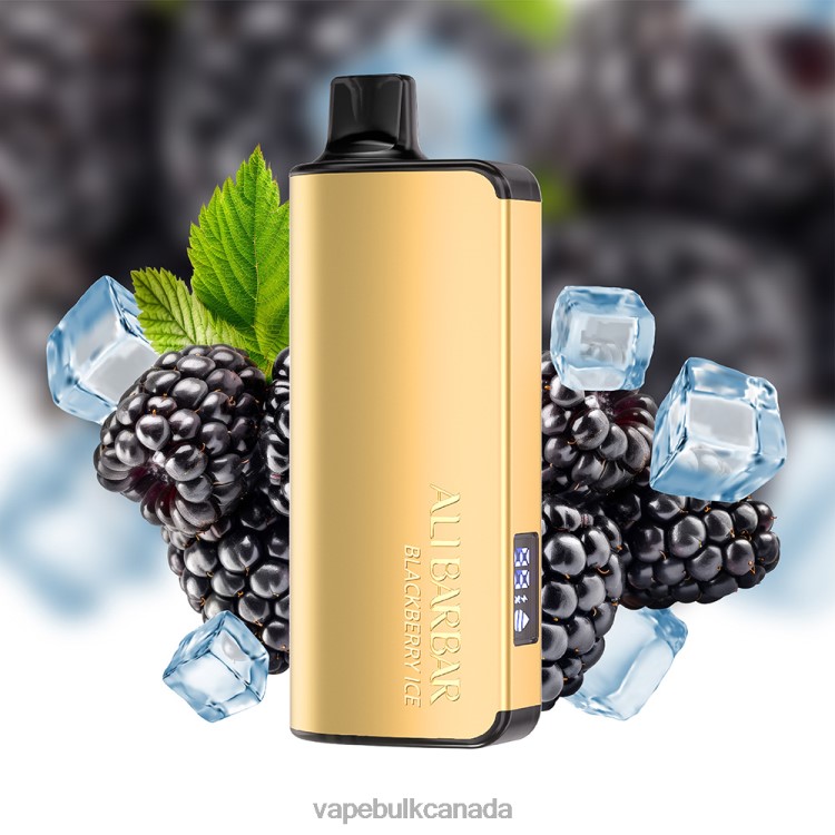 E Cig Wholesale - Alibarbar Ingot 9000 Disposable Vape Blackberry Ice P60ZF30