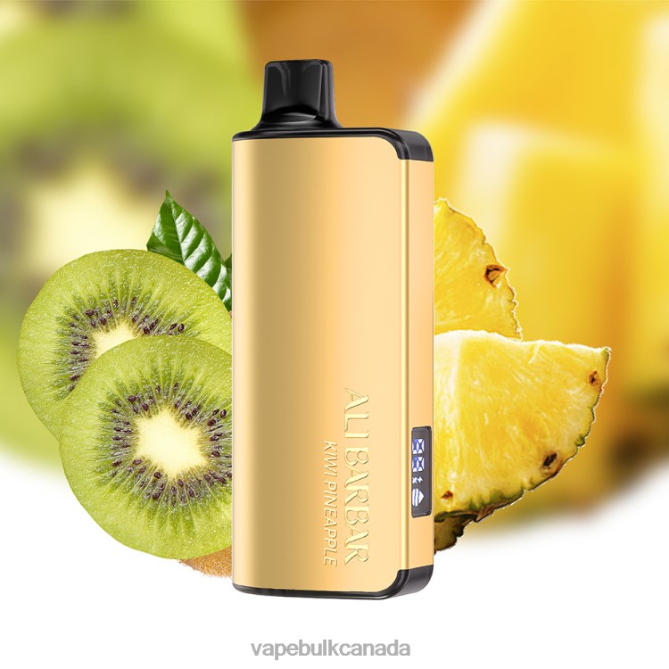 E Cigarette Wholesale - Alibarbar Ingot 9000 Disposable Vape Kiwi Pineapple P60ZF21