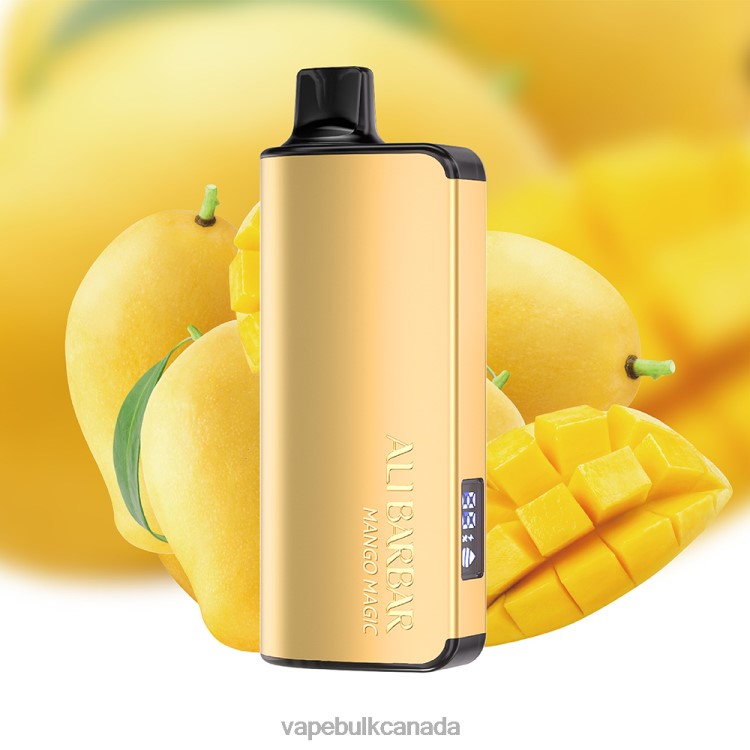 Vape Wholesale Supplier Canada - Alibarbar Ingot 9000 Disposable Vape Mango Magic P60ZF29