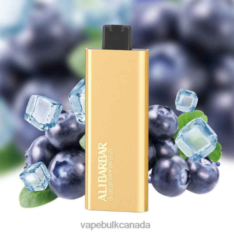 E Cigarette Wholesale - Alibarbar Pandora 7000 Disposable Vape Blueberry Breeze P60ZF51