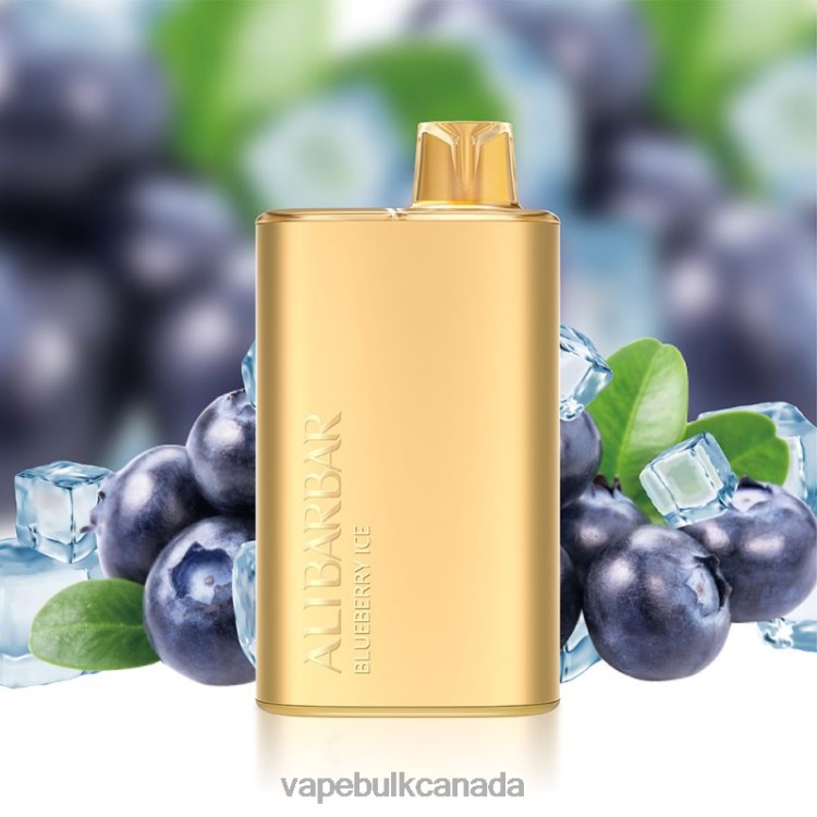 Vape Bulk Canada - Alibarbar Rich 8000 Disposable Vape Blueberry Ice P60ZF3