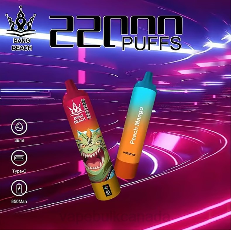 Vape Wholesale Distributor Canada - Bang Beach 22000 Puffs Smart Screen Peach Mango 680L24