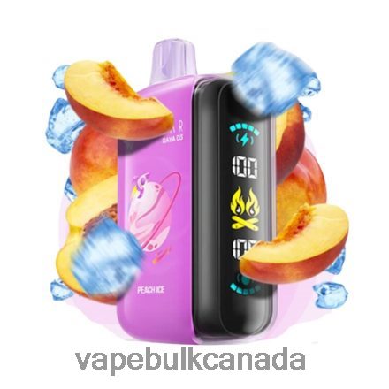 E Cigarette Wholesale - Elf Bar Raya D3 25000 Disposable L4LZL61