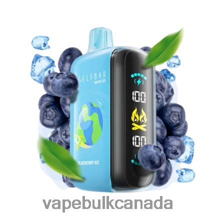 E Cigarette Wholesale - Elf Bar Raya D3 25000 Disposable L4LZL61