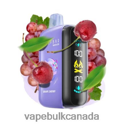 E Cigarette Wholesale - Elf Bar Raya D3 25000 Disposable L4LZL61