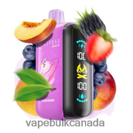 E Cigarette Wholesale - Elf Bar Raya D3 25000 Disposable L4LZL61