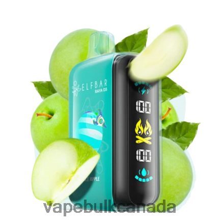 E Cigarette Wholesale - Elf Bar Raya D3 25000 Disposable L4LZL61