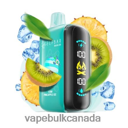 E Cigarette Wholesale - Elf Bar Raya D3 25000 Disposable L4LZL61