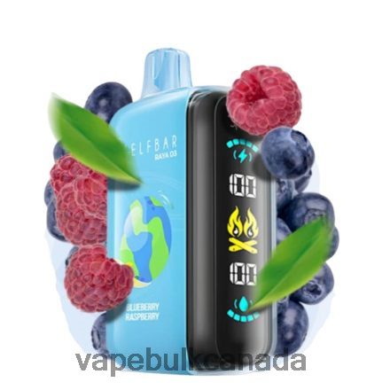 E Cigarette Wholesale - Elf Bar Raya D3 25000 Disposable L4LZL61