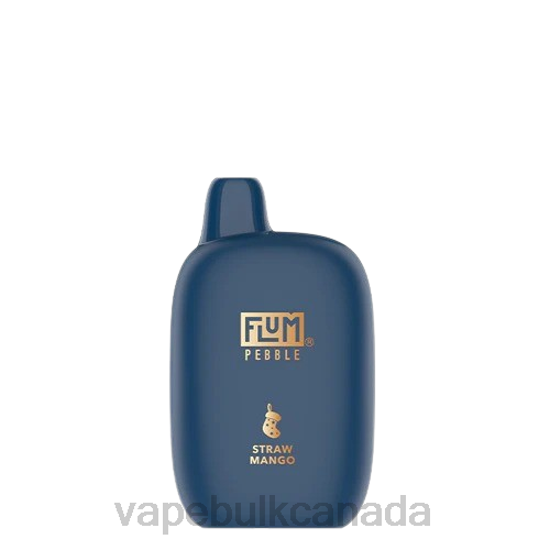 E Cigarette Wholesale - FLUM PEBBLES 6000 PUFFS (Christmas Edition) Straw Mango 8VRX11