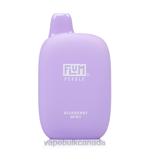 Vape Bulk Canada - FLUM PEBBLES 6000 PUFFS Blueberry Mint 8VRX23