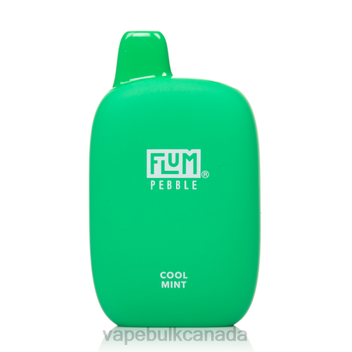 Vape Juice Wholesale Canada - FLUM PEBBLES 6000 PUFFS Cool Mint 8VRX26