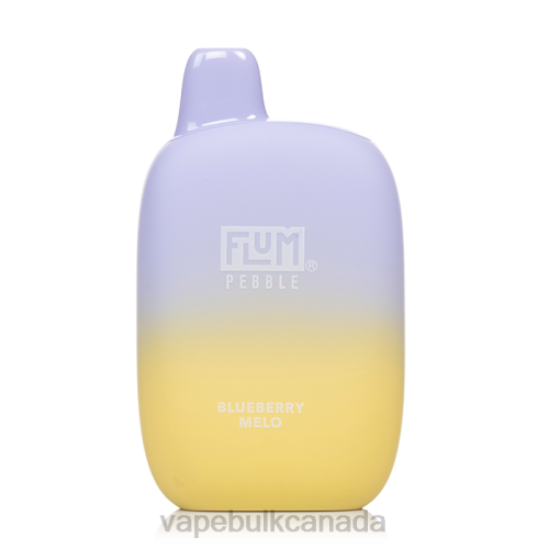 Vape Wholesale Canada - FLUM PEBBLES 6000 PUFFS Blueberry Melo 8VRX22