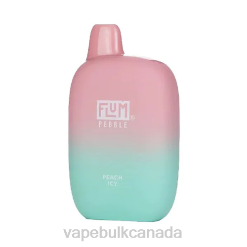 Vape Wholesale - FLUM PEBBLES 6000 PUFFS Peach Icy 8VRX38