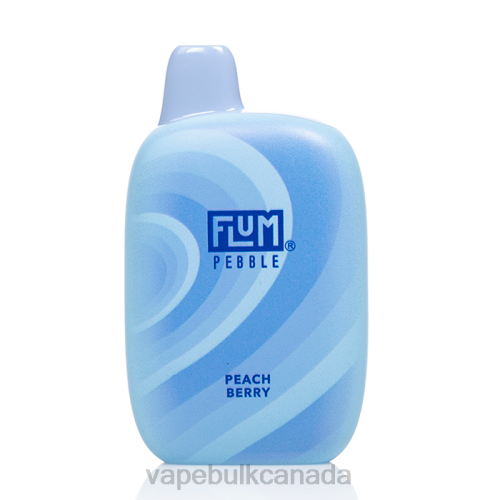 Vape Wholesale Near Me- FLUM PEBBLES 6000 PUFFS Peach Berry 8VRX37