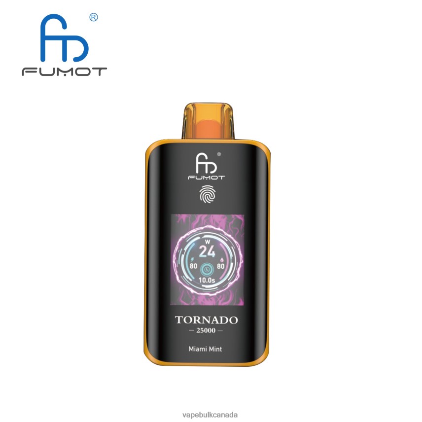 Vape Wholesale - Fumot Tornado 25000 Disposable Vape Miami Mint 8R82B68