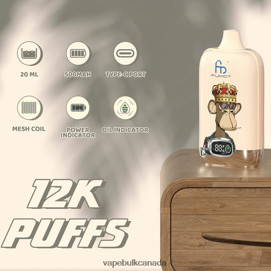 466BLN4 Disposable - Vape Wholesale Distributor Canada Fumot Tornado Digital Box 12000