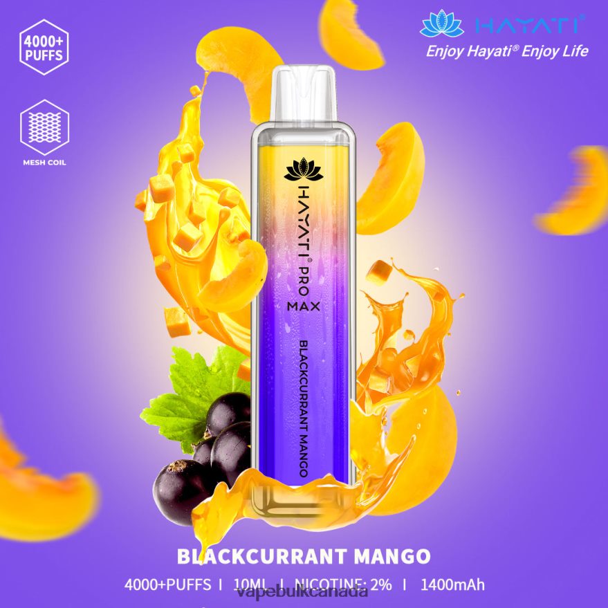 466BLN146 Blackcurrant Mango - Vape Juice Wholesale Canada Hayati Pro Max 4000
