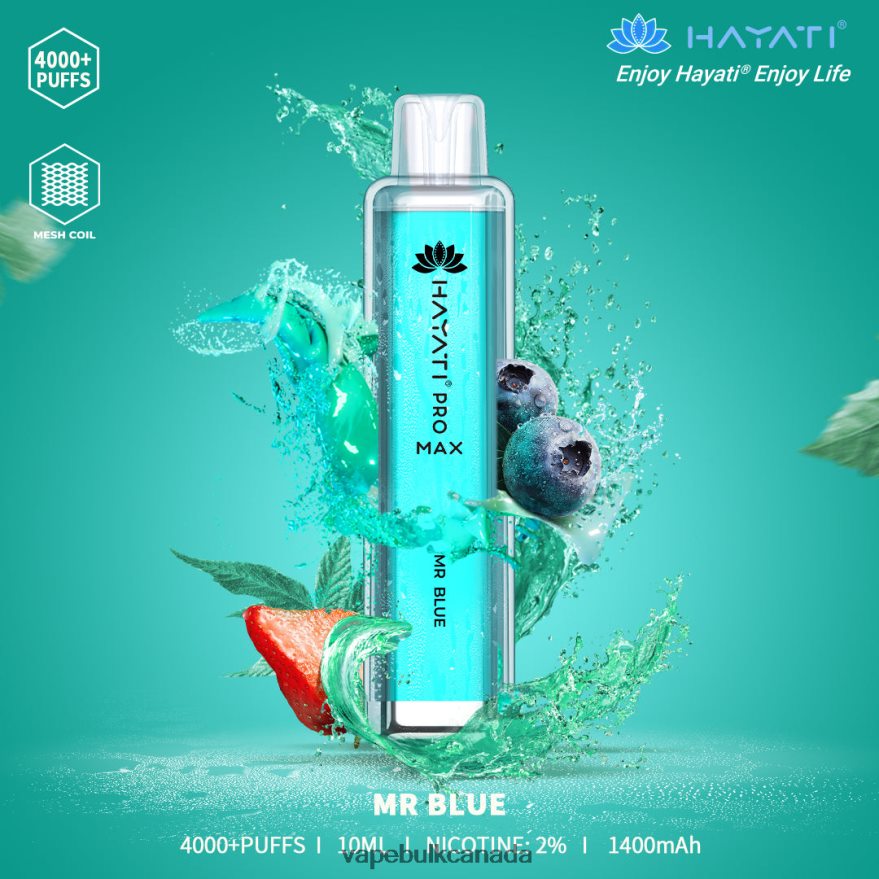 466BLN167 Mr.Blue - Allo Vape Wholesale Canada Hayati Pro Max 4000