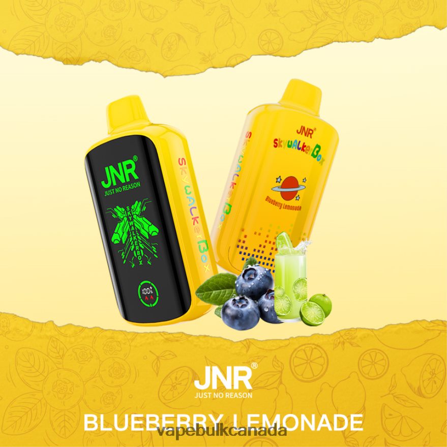 466BLN584 Blueberry Lemonade - Vape Wholesale Distributor Canada JNR SKYWALKER BOX