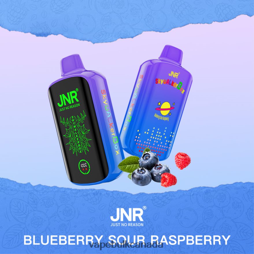 466BLN585 Blueberry Sour Raspberry - Disposable Vape Wholesale Canada JNR SKYWALKER BOX