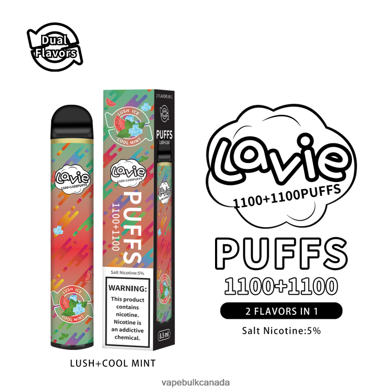 Vape Wholesale Distributor Canada - LAVIE BAR Switch 2200 Puffs BTD02L294 Lush/Cool Mint