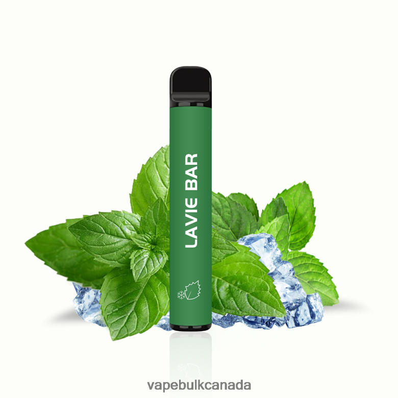 E Cig Wholesale - LAVIE BAR 2% Version 800 Puffs BTD02L320 Cool Mint