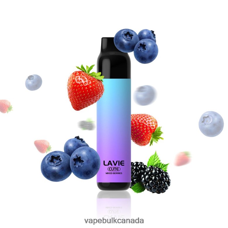 Vape Wholesale Supplier Canada - LAVIE BAR 3000 Puffs BTD02L289 Mixed Berries