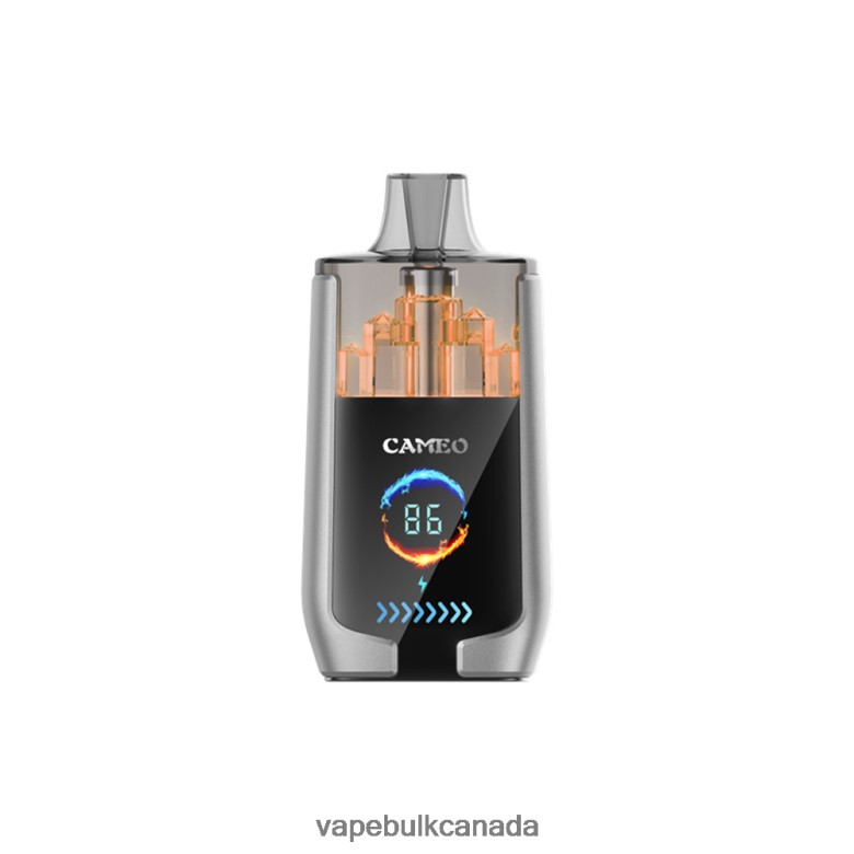 Disposable Vape Wholesale Canada - LAVIE CAMEO 30000 Puffs BTD02L15 Blueberry Ice