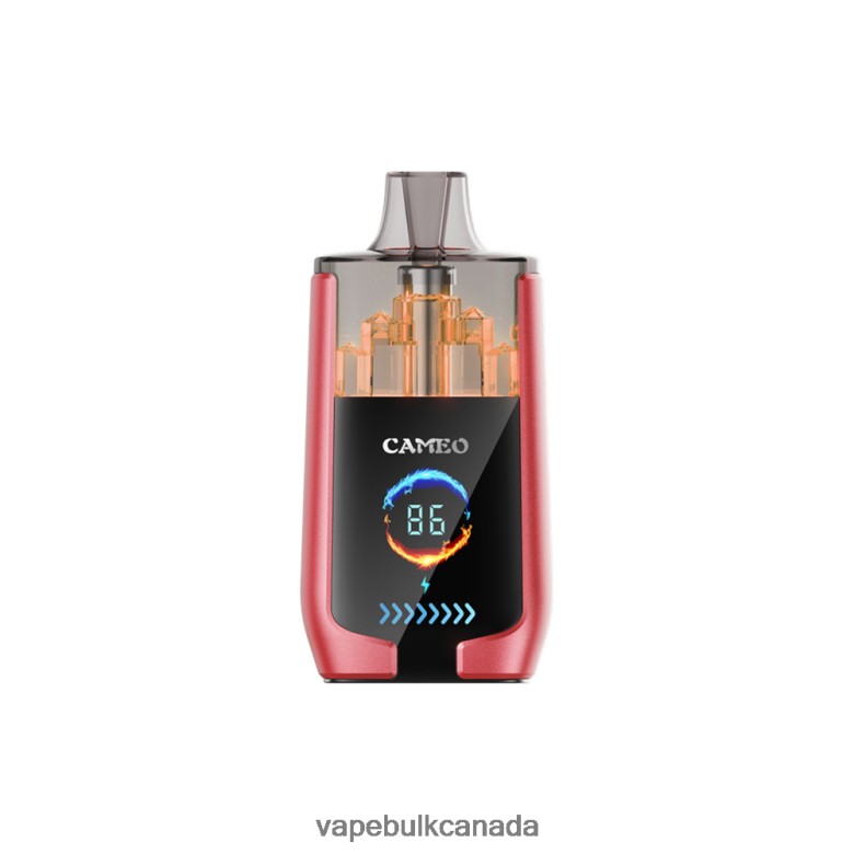 Vape Wholesale Distributor Canada - LAVIE CAMEO 30000 Puffs BTD02L14 Watermelon Ice