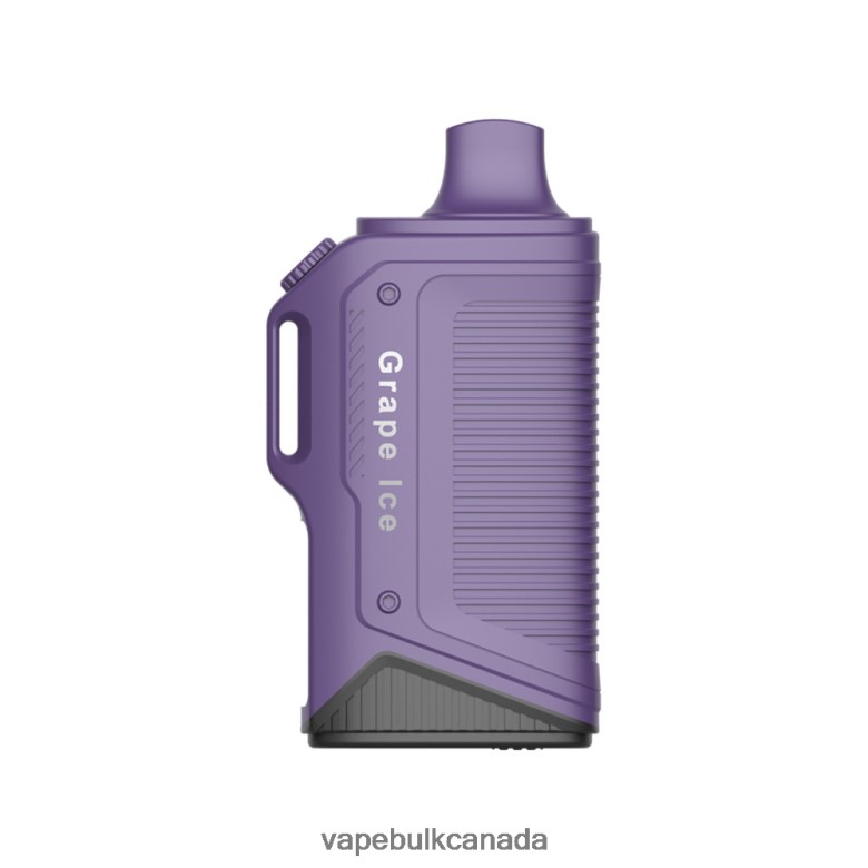 Grape Ice
