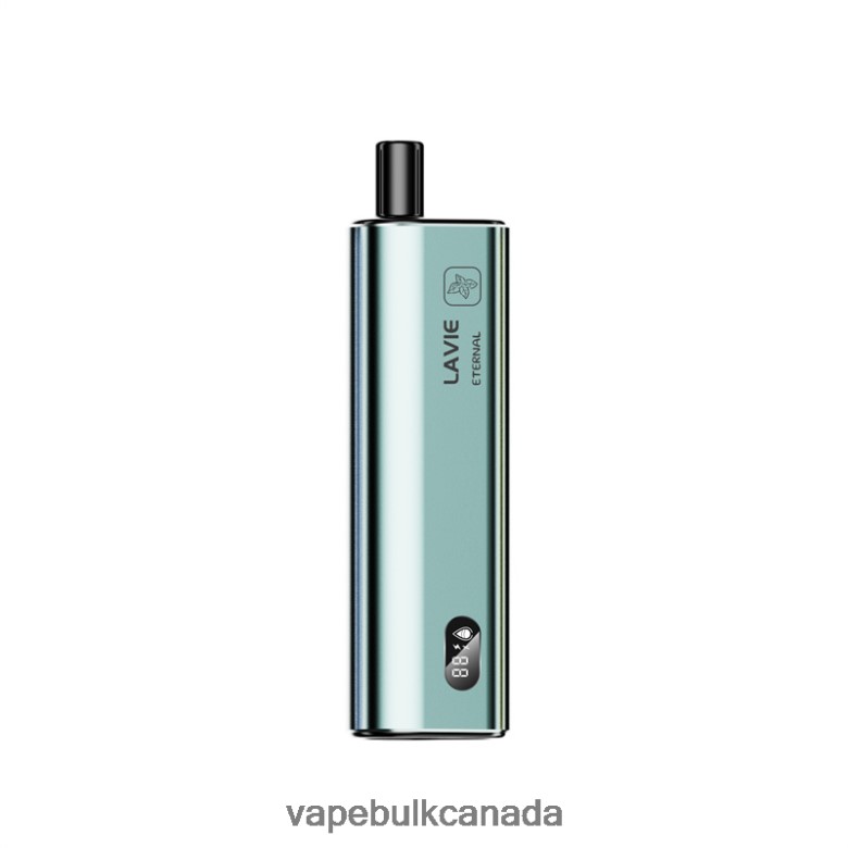 Mint Ice