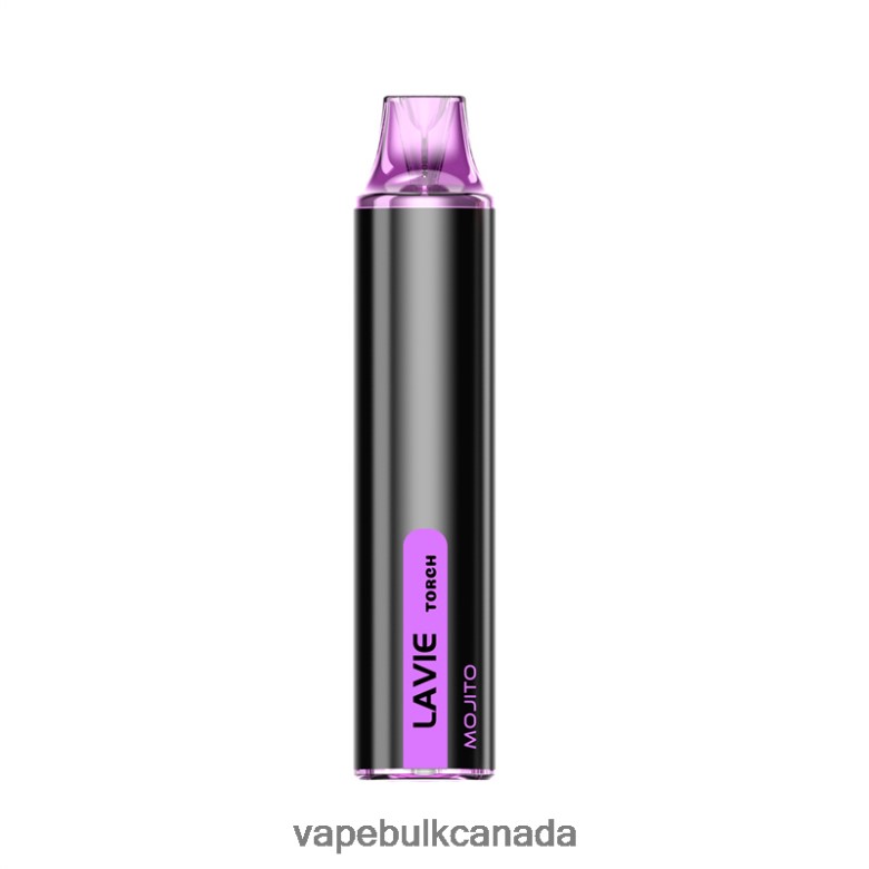 Vape Bulk Canada - LAVIE Torch 6000 Puffs BTD02L133 Mojito