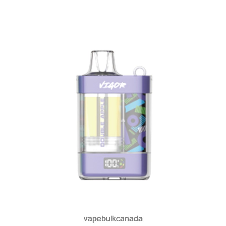 Disposable Vape Wholesale Canada - LAVIE VIGOR 15000 Puffs BTD02L5 Double Apple