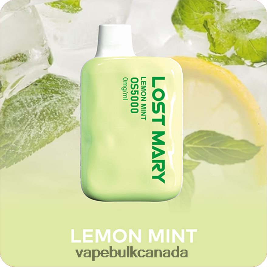 466BLN510 Lemon Mint - Ghost Vape Wholesale Canada LOST MARY OS5000 0mg/ml