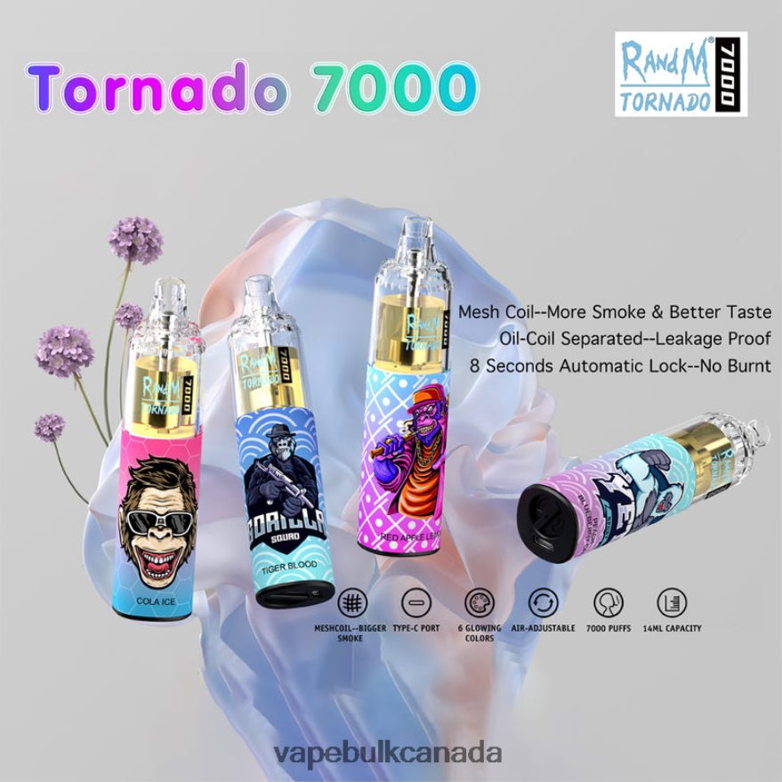466BLN1 Disposable - E Cigarette Wholesale RandM Tornado 7000 5%