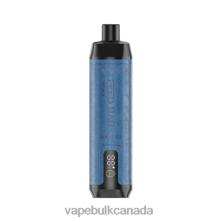 Disposable Vape Wholesale Canada - Vapsolo SHISHA Disposable Vape Berry Ice P60ZF95