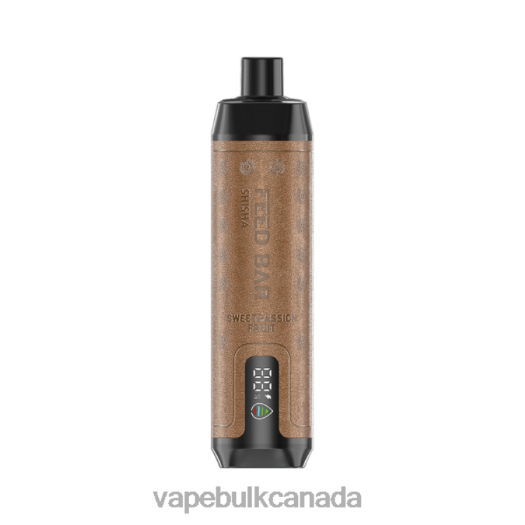 Disposable Vape Wholesale Canada - Vapsolo SHISHA Disposable Vape Sweetpassion Fruit P60ZF105