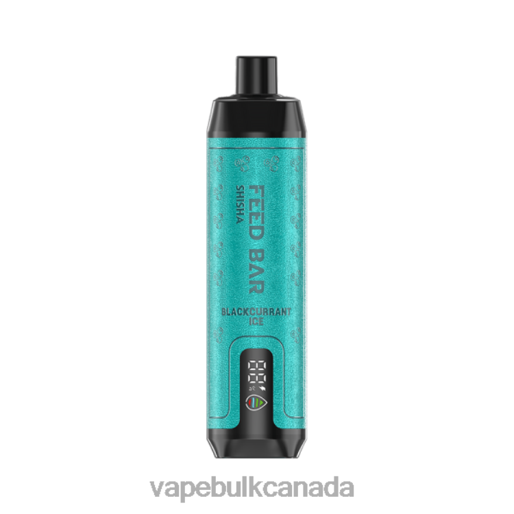 Vape Juice Wholesale Canada - Vapsolo SHISHA Disposable Vape Blackcurrant Ice P60ZF96