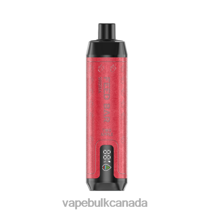 Vape Juice Wholesale Canada - Vapsolo SHISHA Disposable Vape Two Apple P60ZF106