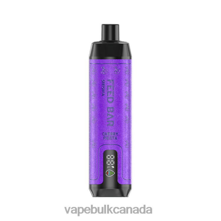 Vape Wholesale Supplier Canada - Vapsolo SHISHA Disposable Vape Cherry Fiesta P60ZF99
