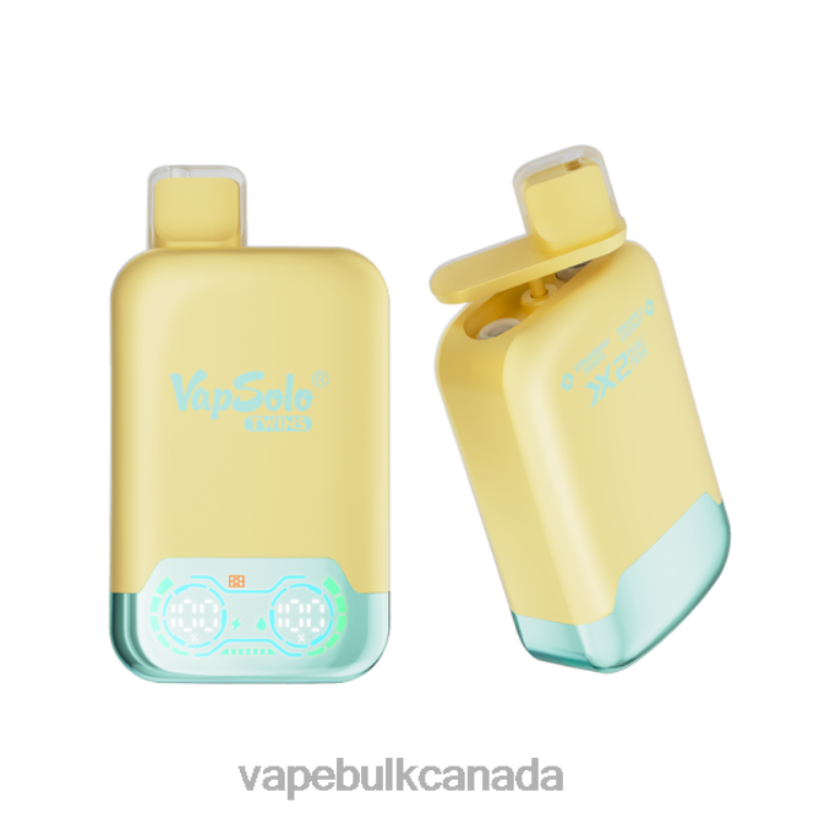 Disposable Vape Wholesale Canada - Vapsolo TWINS Disposable Vape Pineapple Coconut & Strawberry Banana P60ZF125