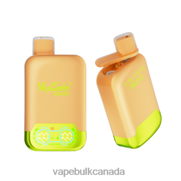 Vape Bulk Canada - Vapsolo TWINS Disposable Vape Lemone Lime & Watermelon Ice P60ZF123