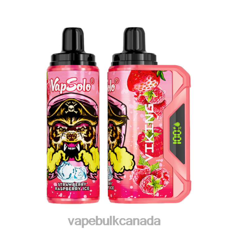 Vape Wholesale Supplier Canada - Vapsolo VIKING Disposable Vape Strawberry Raspberry Ice P60ZF139