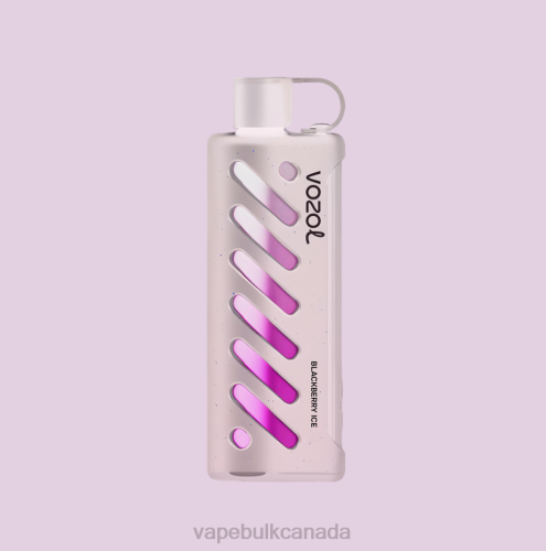 E Cigarette Wholesale - VOZOL Gear Shisha 25000 Multi 8VRX1