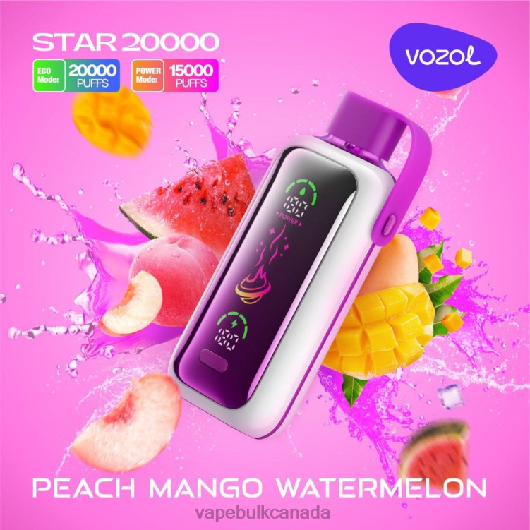 Vape Juice Wholesale Canada - VOZOL STAR 20000 BZ64416 PEACH MANGO WATERMELON